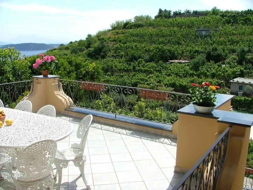 Villa Rosalia Ischia Zewnętrze zdjęcie